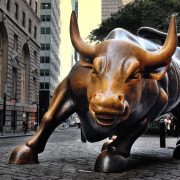 bull_Image_Sam_valadi_Flickr